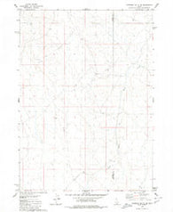 Coonskin Butte NE Idaho Historical topographic map, 1:24000 scale, 7.5 X 7.5 Minute, Year 1979