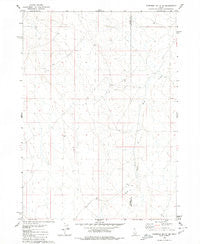 Coonskin Butte NE Idaho Historical topographic map, 1:24000 scale, 7.5 X 7.5 Minute, Year 1979