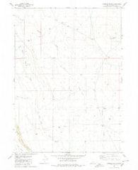 Coonskin Butte Idaho Historical topographic map, 1:24000 scale, 7.5 X 7.5 Minute, Year 1979