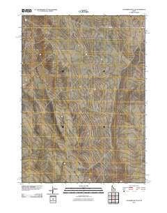 Coonskin Butte NE Idaho Historical topographic map, 1:24000 scale, 7.5 X 7.5 Minute, Year 2010