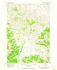 Copper Basin Idaho Historical topographic map, 1:62500 scale, 15 X 15 Minute, Year 1960