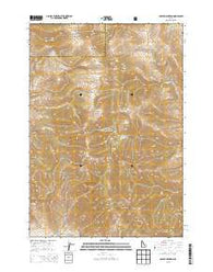 Copper Mountain Idaho Current topographic map, 1:24000 scale, 7.5 X 7.5 Minute, Year 2013
