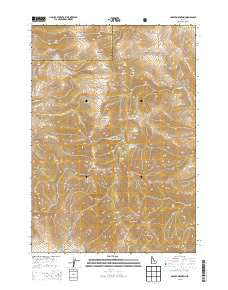 Copper Mountain Idaho Current topographic map, 1:24000 scale, 7.5 X 7.5 Minute, Year 2013