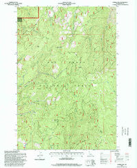 Corral Hill Idaho Historical topographic map, 1:24000 scale, 7.5 X 7.5 Minute, Year 1995