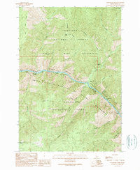 Cottontail Point Idaho Historical topographic map, 1:24000 scale, 7.5 X 7.5 Minute, Year 1989