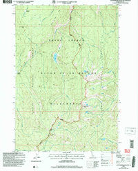 Cottonwood Butte Idaho Historical topographic map, 1:24000 scale, 7.5 X 7.5 Minute, Year 2004