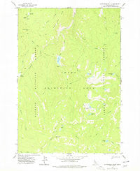 Cottonwood Butte Idaho Historical topographic map, 1:24000 scale, 7.5 X 7.5 Minute, Year 1977