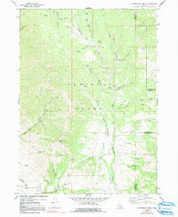 Cottonwood Peak Idaho Historical topographic map, 1:24000 scale, 7.5 X 7.5 Minute, Year 1969