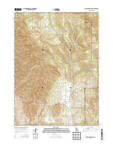 Cottonwood Peak Idaho Current topographic map, 1:24000 scale, 7.5 X 7.5 Minute, Year 2013