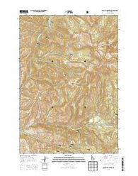 Council Mountain Idaho Current topographic map, 1:24000 scale, 7.5 X 7.5 Minute, Year 2013