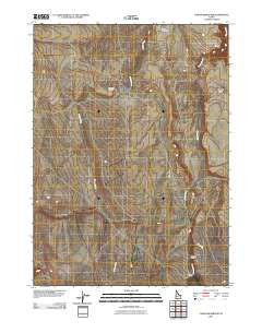 Cowan Reservoir Idaho Historical topographic map, 1:24000 scale, 7.5 X 7.5 Minute, Year 2010
