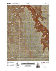 Coyote Hole Idaho Historical topographic map, 1:24000 scale, 7.5 X 7.5 Minute, Year 2010