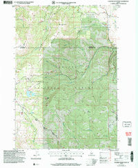 Crooked River Point Idaho Historical topographic map, 1:24000 scale, 7.5 X 7.5 Minute, Year 2004