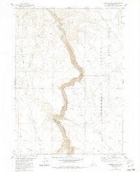 Crowbar Gulch Idaho Historical topographic map, 1:24000 scale, 7.5 X 7.5 Minute, Year 1980