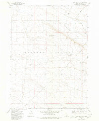 Crows Nest Butte Idaho Historical topographic map, 1:24000 scale, 7.5 X 7.5 Minute, Year 1980