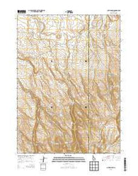 Curtis Draw Idaho Current topographic map, 1:24000 scale, 7.5 X 7.5 Minute, Year 2013