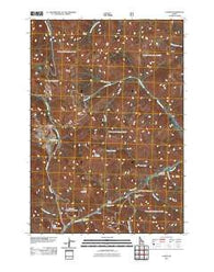 Custer Idaho Historical topographic map, 1:24000 scale, 7.5 X 7.5 Minute, Year 2011