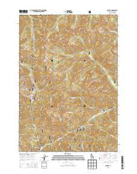 Custer Idaho Current topographic map, 1:24000 scale, 7.5 X 7.5 Minute, Year 2013