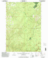 Dairy Mountain Idaho Historical topographic map, 1:24000 scale, 7.5 X 7.5 Minute, Year 1995