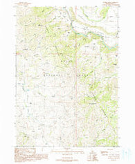 Danskin Peak Idaho Historical topographic map, 1:24000 scale, 7.5 X 7.5 Minute, Year 1990