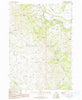Danskin Peak Idaho Historical topographic map, 1:24000 scale, 7.5 X 7.5 Minute, Year 1990