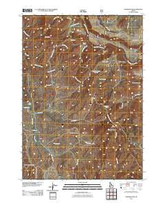 Danskin Peak Idaho Historical topographic map, 1:24000 scale, 7.5 X 7.5 Minute, Year 2011