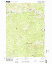 Dave Lewis Peak Idaho Historical topographic map, 1:24000 scale, 7.5 X 7.5 Minute, Year 1962