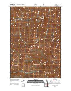 Dave Lewis Peak Idaho Historical topographic map, 1:24000 scale, 7.5 X 7.5 Minute, Year 2011