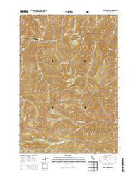 Dave Lewis Peak Idaho Current topographic map, 1:24000 scale, 7.5 X 7.5 Minute, Year 2013