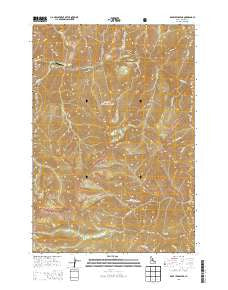 Dave Lewis Peak Idaho Current topographic map, 1:24000 scale, 7.5 X 7.5 Minute, Year 2013