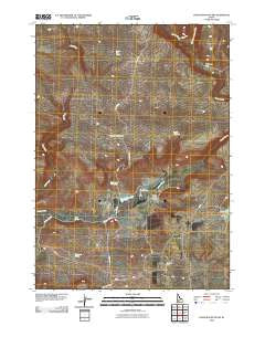 Davis Mountain SW Idaho Historical topographic map, 1:24000 scale, 7.5 X 7.5 Minute, Year 2010