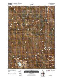 De Lamar Idaho Historical topographic map, 1:24000 scale, 7.5 X 7.5 Minute, Year 2010