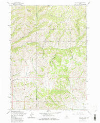 Deer Mountain Idaho Historical topographic map, 1:24000 scale, 7.5 X 7.5 Minute, Year 1963