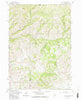 Deer Mountain Idaho Historical topographic map, 1:24000 scale, 7.5 X 7.5 Minute, Year 1963