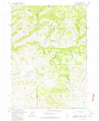 Deer Mountain Idaho Historical topographic map, 1:24000 scale, 7.5 X 7.5 Minute, Year 1963