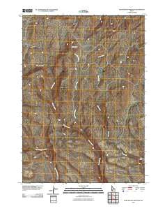 Deer Heaven Mountain Idaho Historical topographic map, 1:24000 scale, 7.5 X 7.5 Minute, Year 2010