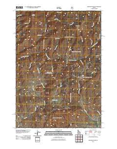 Deer Mountain Idaho Historical topographic map, 1:24000 scale, 7.5 X 7.5 Minute, Year 2011