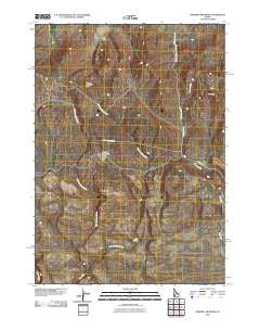 Dempsey Meadows Idaho Historical topographic map, 1:24000 scale, 7.5 X 7.5 Minute, Year 2010