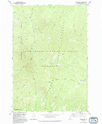 Dennis Mtn Idaho Historical topographic map, 1:24000 scale, 7.5 X 7.5 Minute, Year 1991