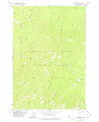 Dennis Mtn Idaho Historical topographic map, 1:24000 scale, 7.5 X 7.5 Minute, Year 1978