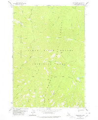 Dennis Mtn Idaho Historical topographic map, 1:24000 scale, 7.5 X 7.5 Minute, Year 1978