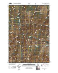 Dennis Mountain Idaho Historical topographic map, 1:24000 scale, 7.5 X 7.5 Minute, Year 2011