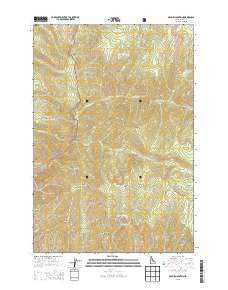 Dennis Mountain Idaho Current topographic map, 1:24000 scale, 7.5 X 7.5 Minute, Year 2013