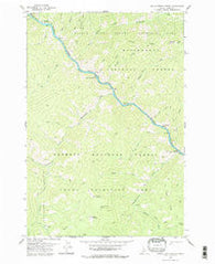 Devils Teeth Rapids Idaho Historical topographic map, 1:24000 scale, 7.5 X 7.5 Minute, Year 1978