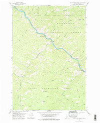 Devils Teeth Rapids Idaho Historical topographic map, 1:24000 scale, 7.5 X 7.5 Minute, Year 1978