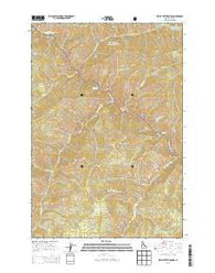 Devils Teeth Rapids Idaho Current topographic map, 1:24000 scale, 7.5 X 7.5 Minute, Year 2013