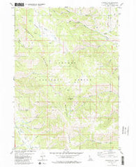 Diamond Flat Idaho Historical topographic map, 1:24000 scale, 7.5 X 7.5 Minute, Year 1980