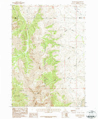 Diamond Peak Idaho Historical topographic map, 1:24000 scale, 7.5 X 7.5 Minute, Year 1987