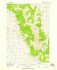 Diamond Peak Idaho Historical topographic map, 1:62500 scale, 15 X 15 Minute, Year 1957