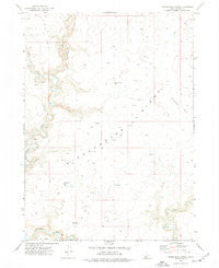 Dickshooter Ridge Idaho Historical topographic map, 1:24000 scale, 7.5 X 7.5 Minute, Year 1973